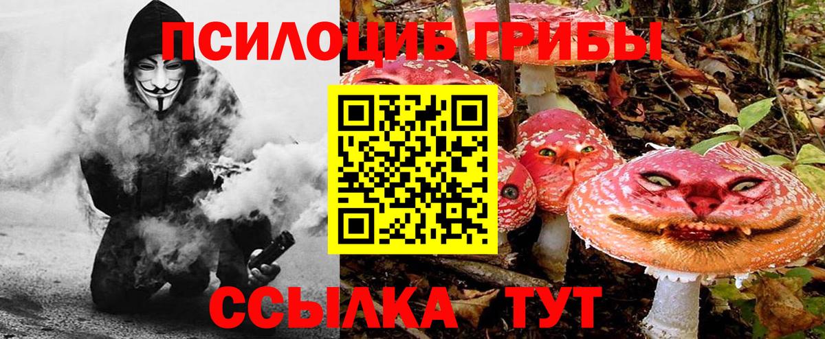 Галлюциногенные грибы ЛСД  купить   Сертолово  Вход с VPN 