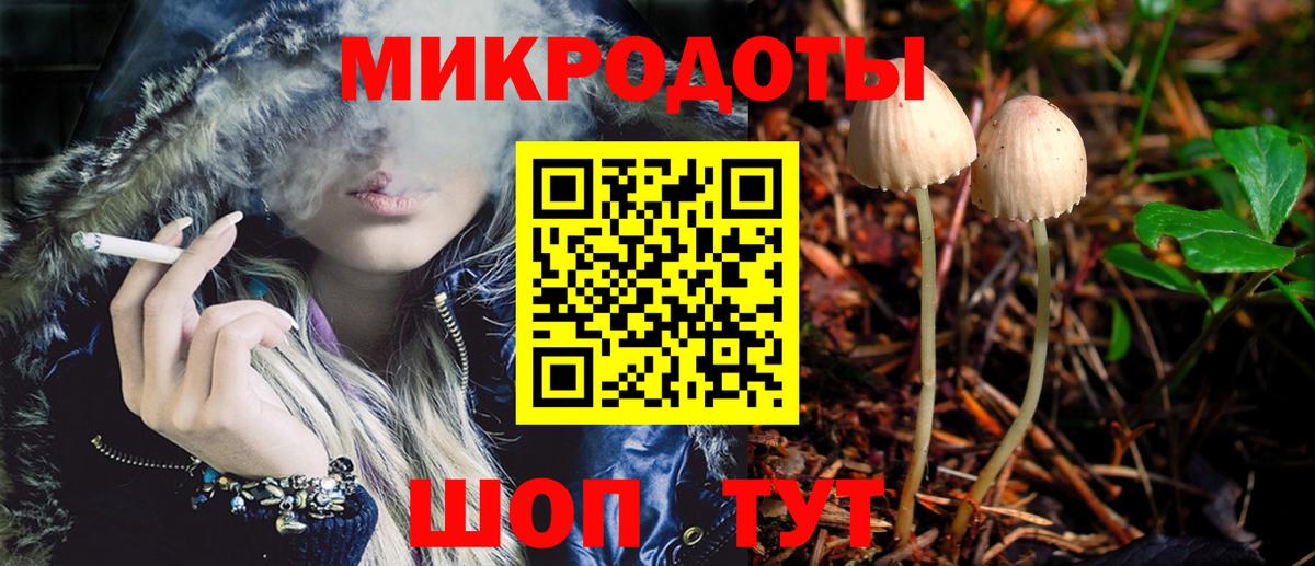 Псилоцибиновые грибы мухоморы Сертолово